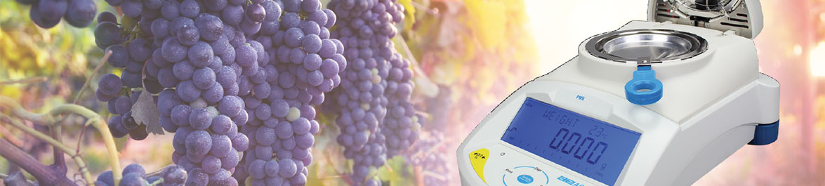 Maximiser le Rendement des Raisins Pendant la Production de Vin avec le Dessiccateur PMB