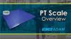 PT Platform Scale Overview