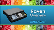 Raven Price Computing Scale Overview